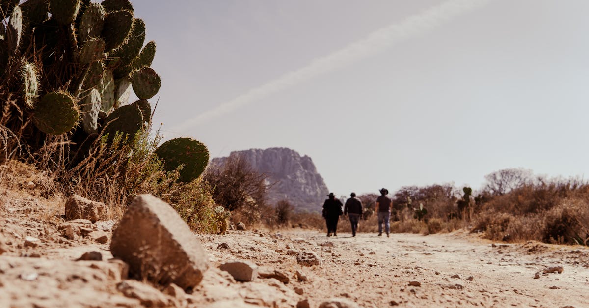 Find the best ebay local deals near you today